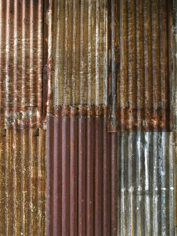 10309000020_00.jpg
