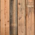 10000000073_03.jpg